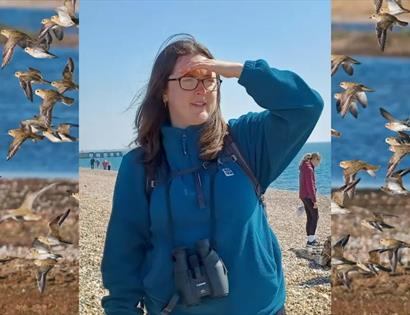 Person with binoculars at Rye Harbour Nature Reserve during a beginner birdwatching session, surrounded by flying birds.