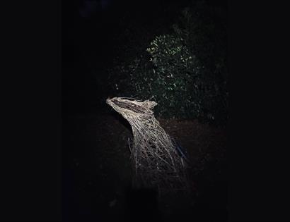 Woven willow sculpture illuminated at night in a garden setting, part of the Passing Through Nature to Eternity exhibition.
