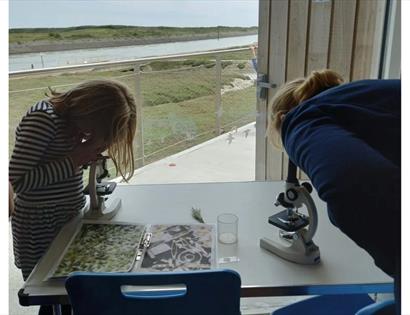 Children using microscopes to explore nature specimens during a creative wildlife activity at Rye Harbour Nature Reserve.