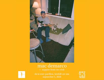 Promotional poster for Mac DeMarco at De La Warr Pavilion, featuring a person with a guitar sitting beside a dog.