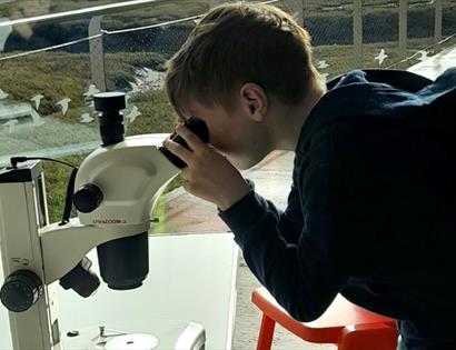 Visitor using a microscope inside Rye Harbour Nature Reserve, exploring natural specimens with coastal habitats visible outside.