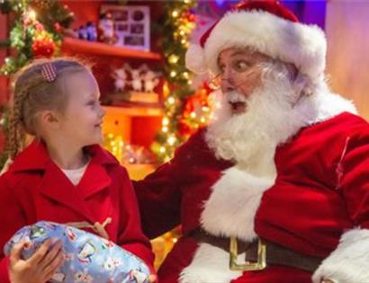 Christmas at Drusillas