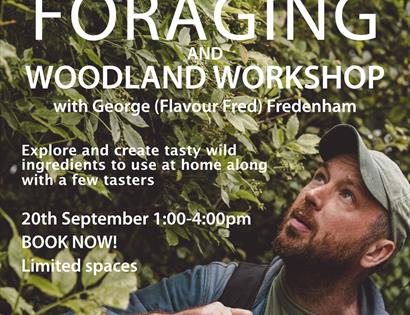 Foraging and woodland workshop