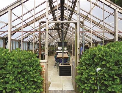 Alexandra Park Greenhouse Heritage Open Day