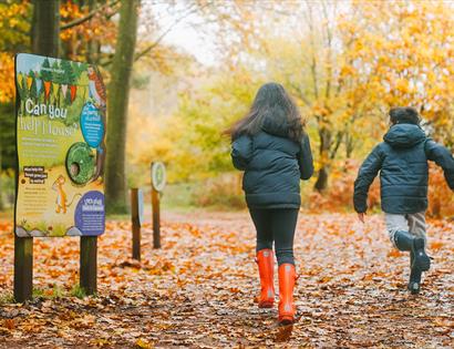 Gruffalo Party Trail at Bedgebury National Pinetum