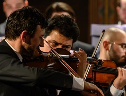 Violinists in an orchestra