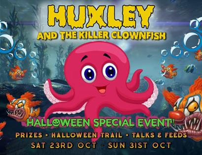 a poster of a pink cartoon octopus and a fish with a scary clown face. Says Huxley the killer clownfish.