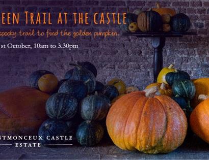 a poster showing a pile of gourds and pumpkins. Text at top says Halloween trail at the castle.