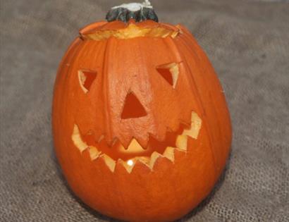Pumpkin Festival