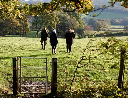 Boxing Day walk at Bateman's in Burwash, East Sussex