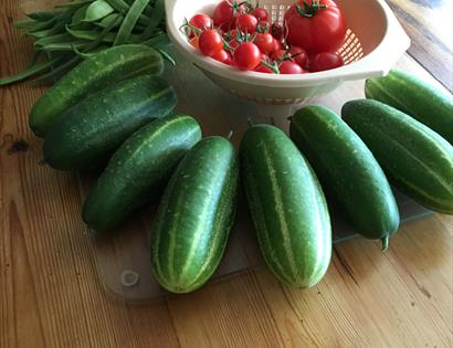 homegrown corgettes, tomatoes and green beans.