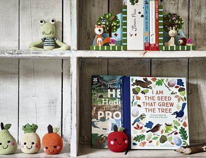 I Am The Seed Spring Trail