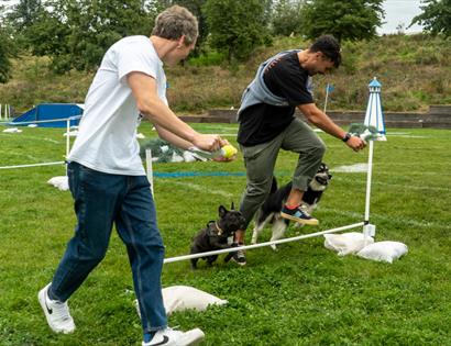 two men leading small dogs over small hurdle on lawn