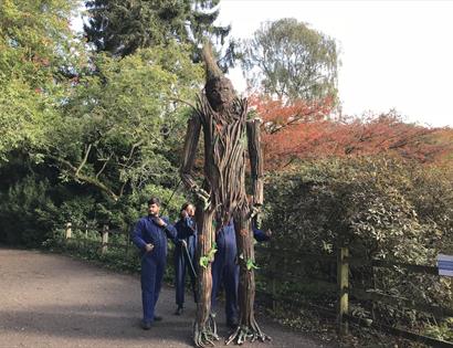 a photograph of a large wicker scarecrow figure being held by three men.