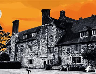 edited photograph of an old brick countryside in black and white. With a painted orange sky, moon and a black cat on the lawn.