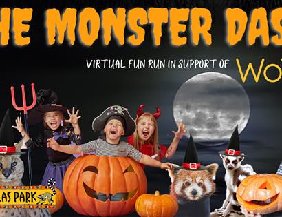 a poster for Drusillas Park's monster dash. Top reads Monster Dash in orange writing. Bottom edge shows collage of children dressed in halloween costu