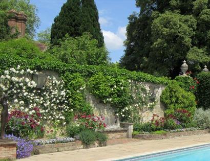 Roses at Pashley Manor Gardens East sussex