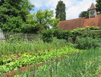 Pashley Manor Gardens - kitchen garden