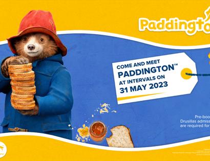 Meet Paddington at Drusillas Park