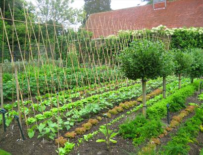 Kitchen Garden Week at Pashley Manor Gardens