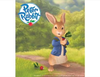 Meet and Greet Peter Rabbit