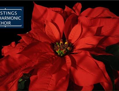 Carols for All