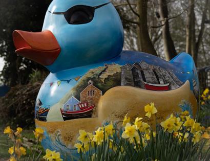 Follow that duck into Hastings Museum
