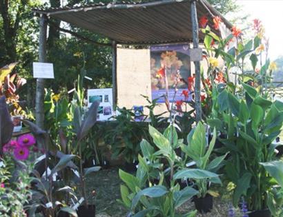 Great Dixter fair