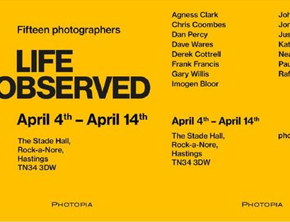 Yellow poster with the title "Life Observed". The poster has detaiuls about the exhibition and artists names, included in the text description. To the