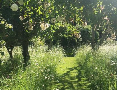 Roses and gardens in green