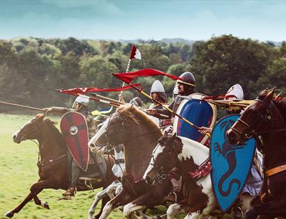 Coming from the right of the screen, knights in armour charging on horseback, green field in background and to left.