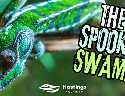 Close-up of a bright green chameleon beside promotional text for The Spooky Swamp at Hastings Aquarium.
