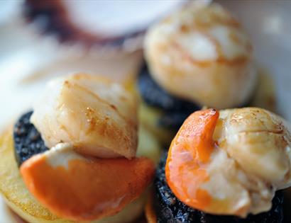close of gourmet scallop dish.