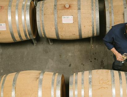 birds eye view of vineyard room with wine barrels and man holding white wine.