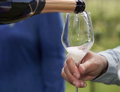 close up of a held wine glass being poured with blurred vineyard in the background