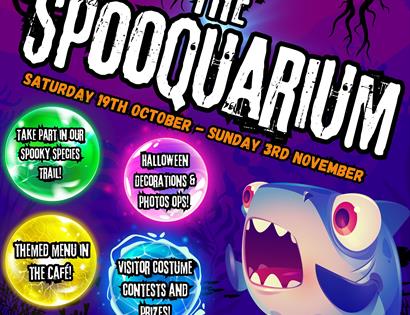 The Spooquarium