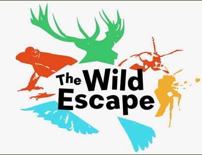 White poster with colour silhouette of different animals, a frog, stag and beetles. In the centre, the black text says 'The Wild Escape'.