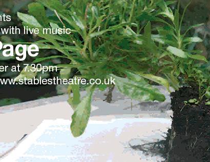 poster for Turn the Page shows unpotted plant sat on book.