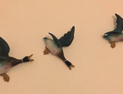 three wall mounted flying ducks.