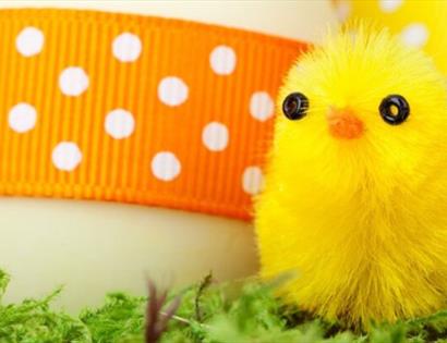 Priory Meadow Easter Trail