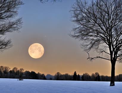 Hail Moonrise Yoga