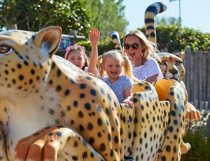 family on a cheetah fairground ride at drusillas park
