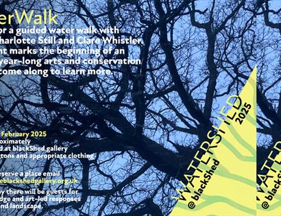 WaterWalk detailed poster