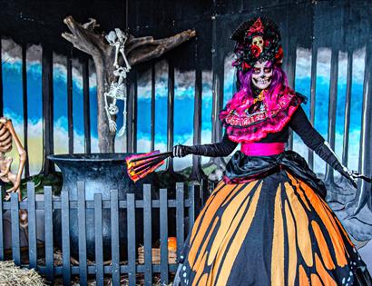 Halloween Shriek Week at Drusillas Park