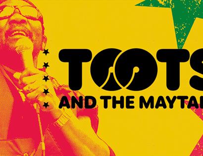 Toots & The Maytals All Day Beach Terrace & Auditorium Party