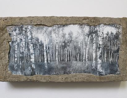 a photograph of an art work, a black and white photograph of trees, as part of a Red Door Gallery exhibition in Rye, Rother.