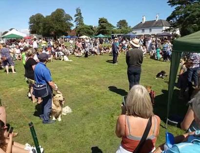 Photograph of outdoor dog show with spectators.