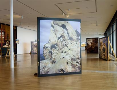 Image of photography in gallery