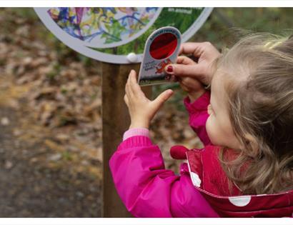 Zog Trail at Bedgebury National Pinetum and Forest