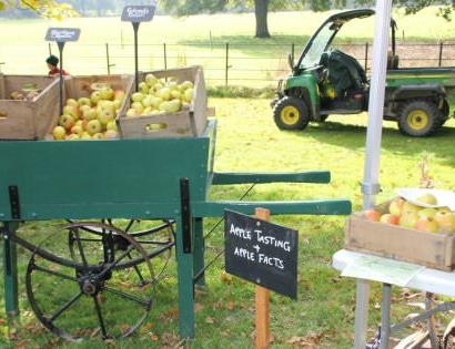 Batemans apple day